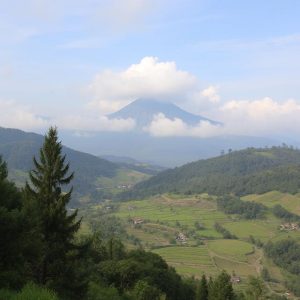 Kesehatan Bekam Purwokerto